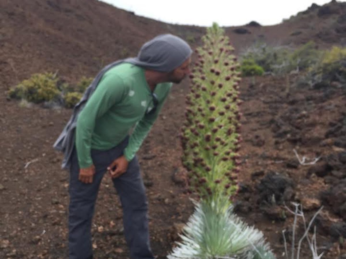 Haleakala, Maui.